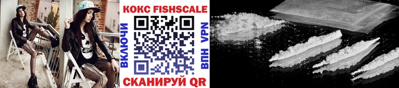 Cocaine FishScale  закладки  Красный Холм 