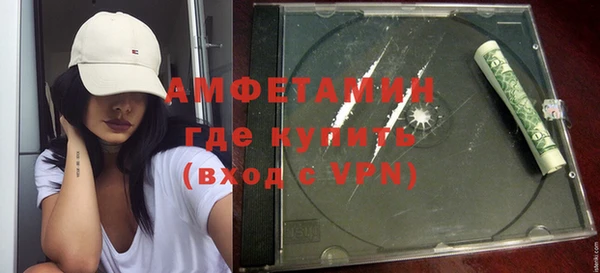 гашик Пестово