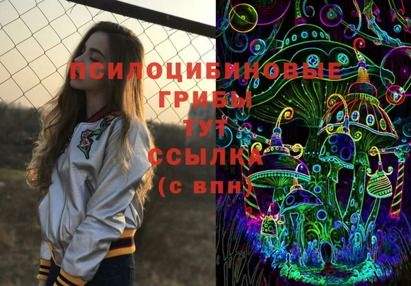 гашиш Ельня