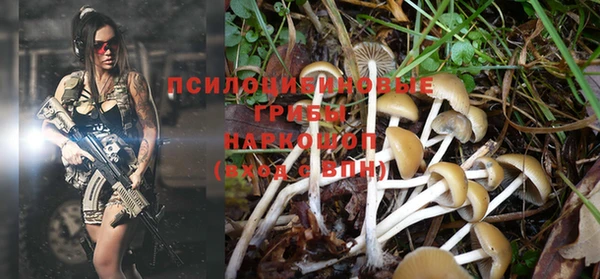 соль курить ск Пересвет