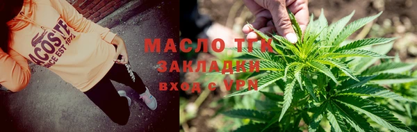 гашик Пестово