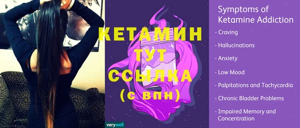 гашик Пестово