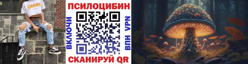 Галлюциногенные грибы Cubensis  Красный Холм 